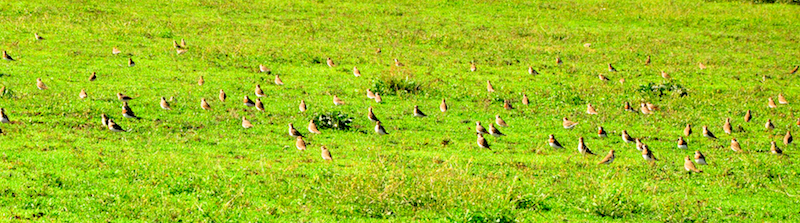 Melanie Heinrich Travel Images Africa